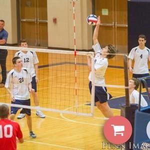 Meet your Posher, Paddy